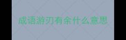 成语游刃有余什么意思