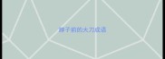 脖子前的大刀成语