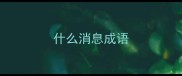 什么消息成语