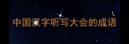 中国汉字听写大会的成语