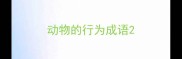 动物的行为成语