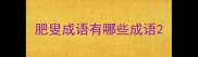 肥叟成语有哪些成语