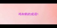 鸡和鹤的成语