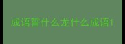 成语誓什么龙什么成语