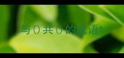 与共的成语