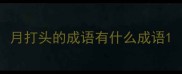 月打头的成语有什么成语