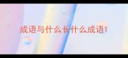 成语与什么长什么成语