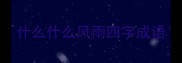 什么什么风雨四字成语