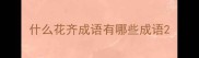 什么花齐成语有哪些成语