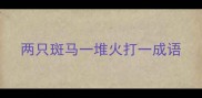两只斑马一堆火打一成语