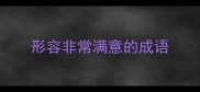 形容非常满意的成语
