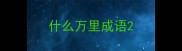 什么万里成语