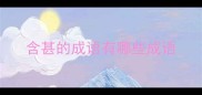 含甚的成语有哪些成语