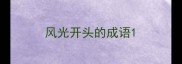 风光开头的成语