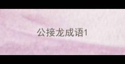 公接龙成语