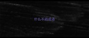 什么不逊成语