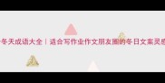 50个冬天成语大全适合写作业作文朋友圈的冬日文案灵感