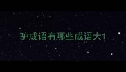 驴成语有哪些成语大