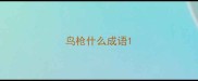 鸟枪什么成语
