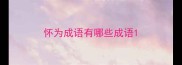 怀为成语有哪些成语