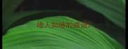 啥人如啥的成语