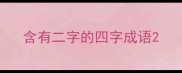 含有二字的四字成语