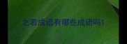 之若成语有哪些成语吗