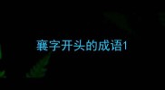 襄字开头的成语
