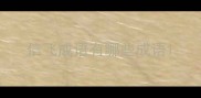 信飞成语有哪些成语