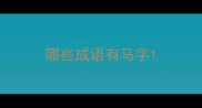 哪些成语有马字