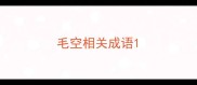 毛空相关成语