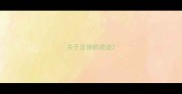关于法律的成语