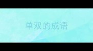 单双的成语