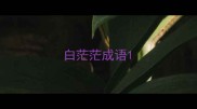 白茫茫成语