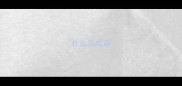 什么鸟成语
