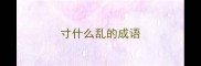 寸什么乱的成语