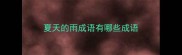 夏天的雨成语有哪些成语