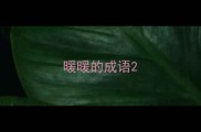 暖暖的成语