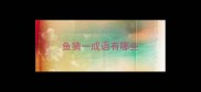 鱼猜一成语有哪些