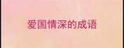 爱国情深的成语