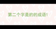 第二个字是的的成语