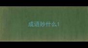 成语妙什么