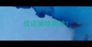 成语猪啥狗啥