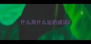 什么高什么远的成语