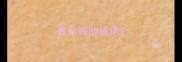 表示等的成语