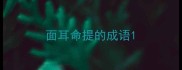 面耳命提的成语