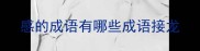 感的成语有哪些成语接龙