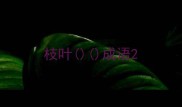 枝叶成语