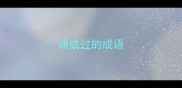 诵成过的成语