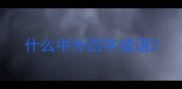 什么中外四字成语